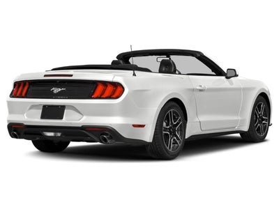 2019 Ford Mustang EcoBoost Convertible