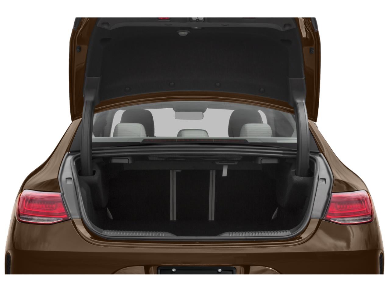 2019 Mercedes-Benz CLS CLS 450 Coupe