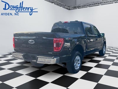 2023 Ford F-150 XLT 4WD SuperCrew 5.5' Box