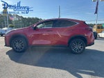 2023 Lexus NX 250 FWD