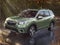 2019 Subaru Forester 2.5i Premium